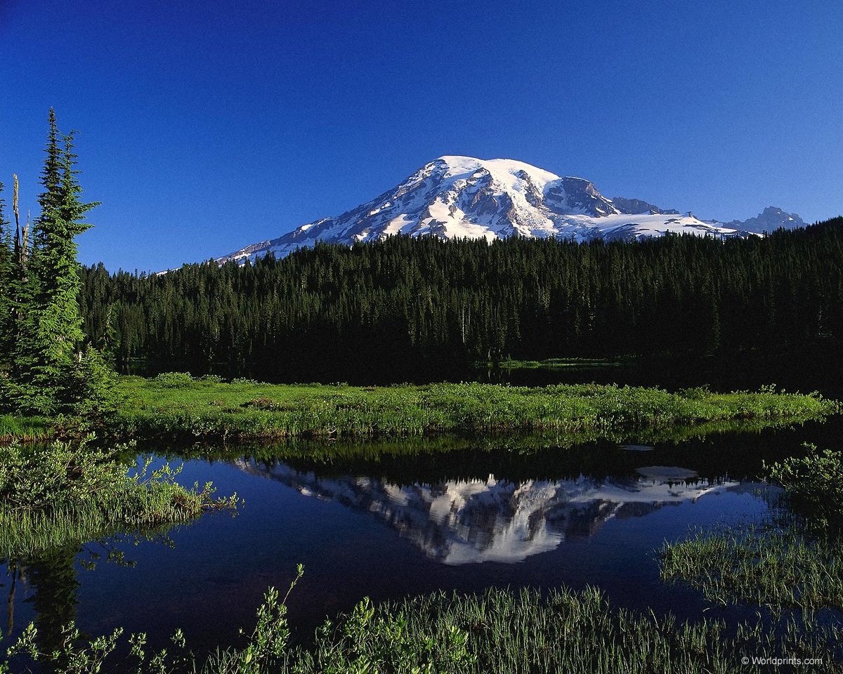 mount rainier national park обои фото