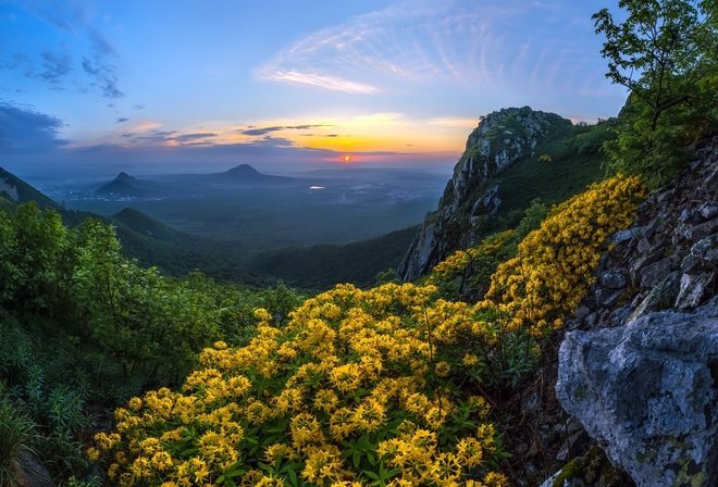 mountains flowers sunset фото