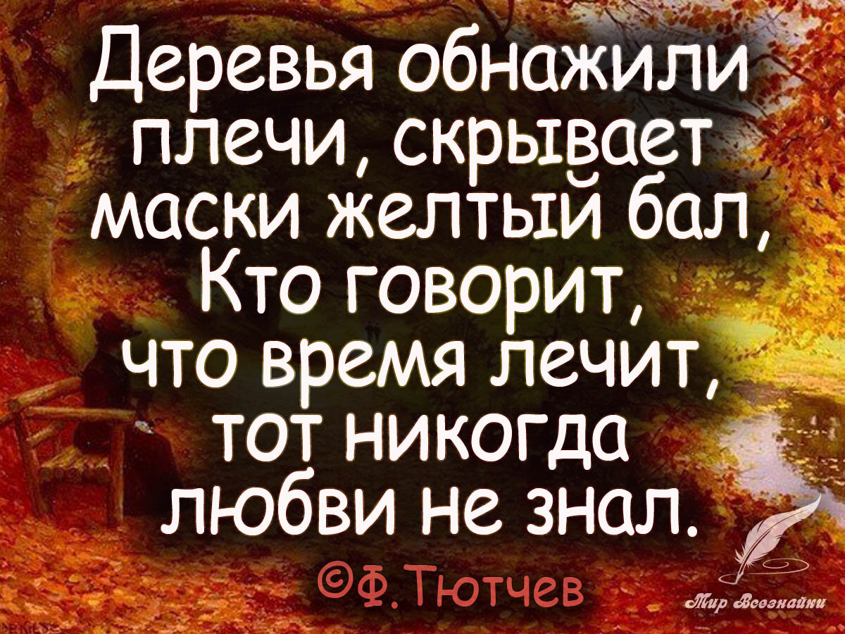 мудрые слова фото