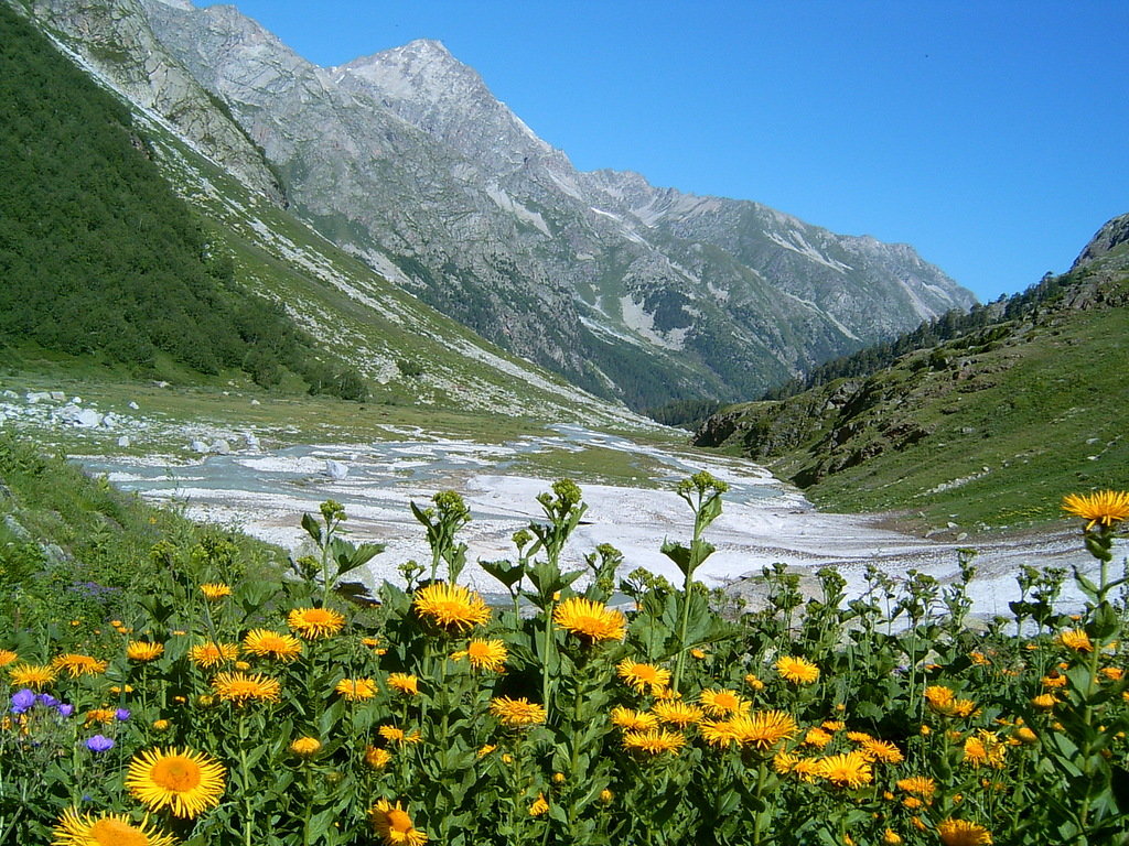 На горах Кавказа фото