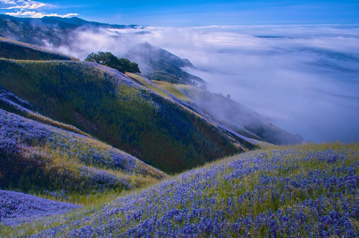 national geographic фото