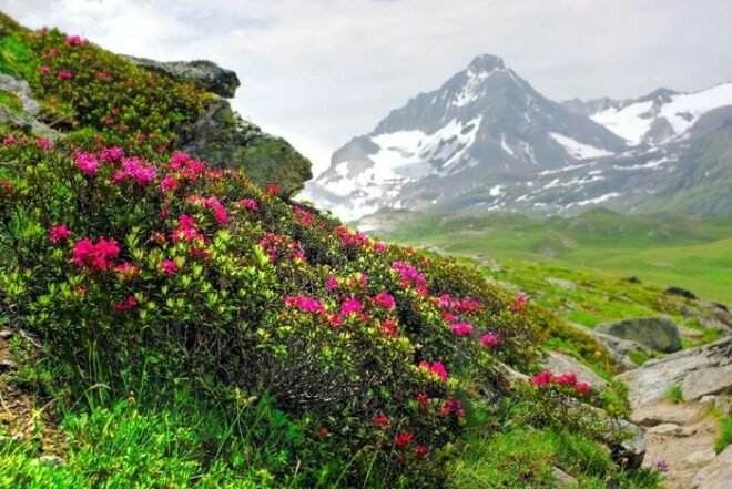 национального парка вануаз фото