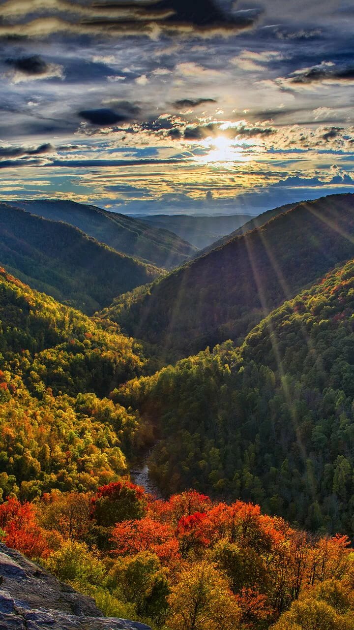 национальный парк great smoky mountains фото