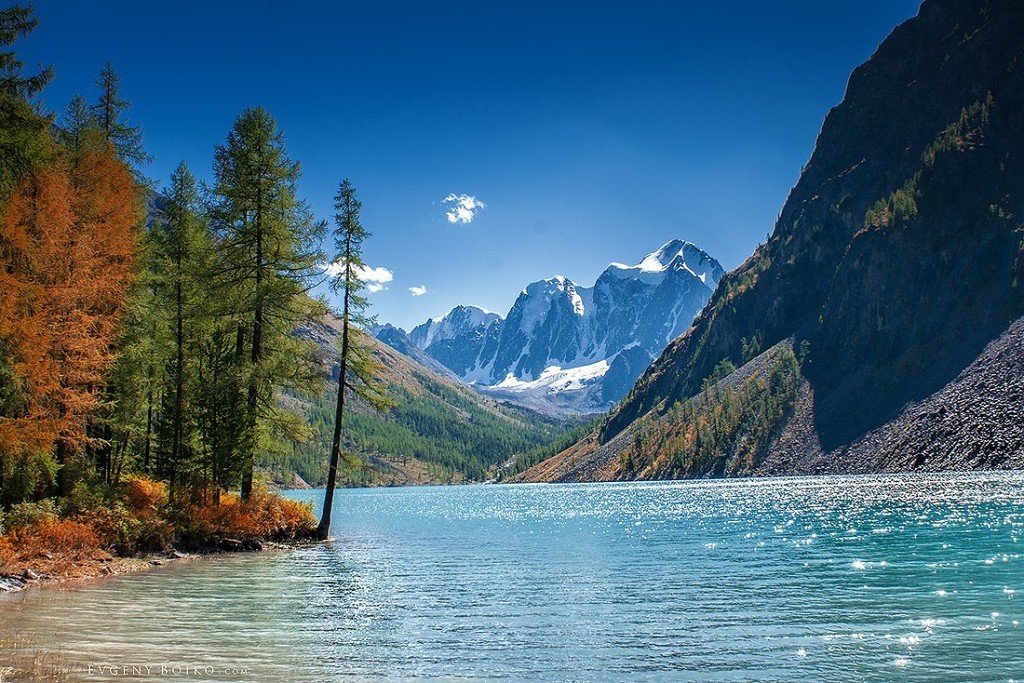 нижнее шавлинское озеро алтай фото