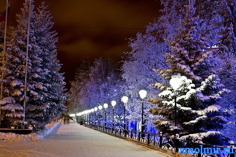 ночная калуга зима фото