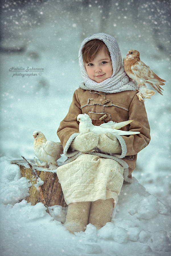 новогодние фотографии наталья законова фото