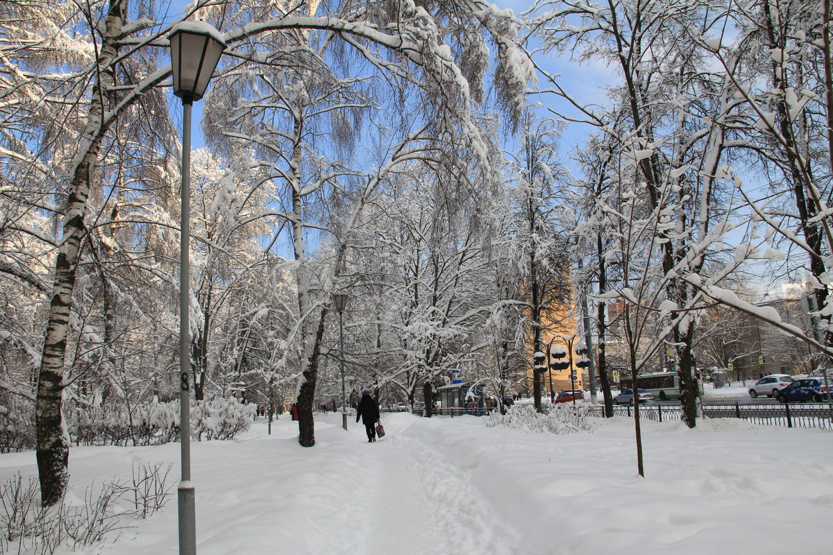 новосибирск зимние пейзажи фото