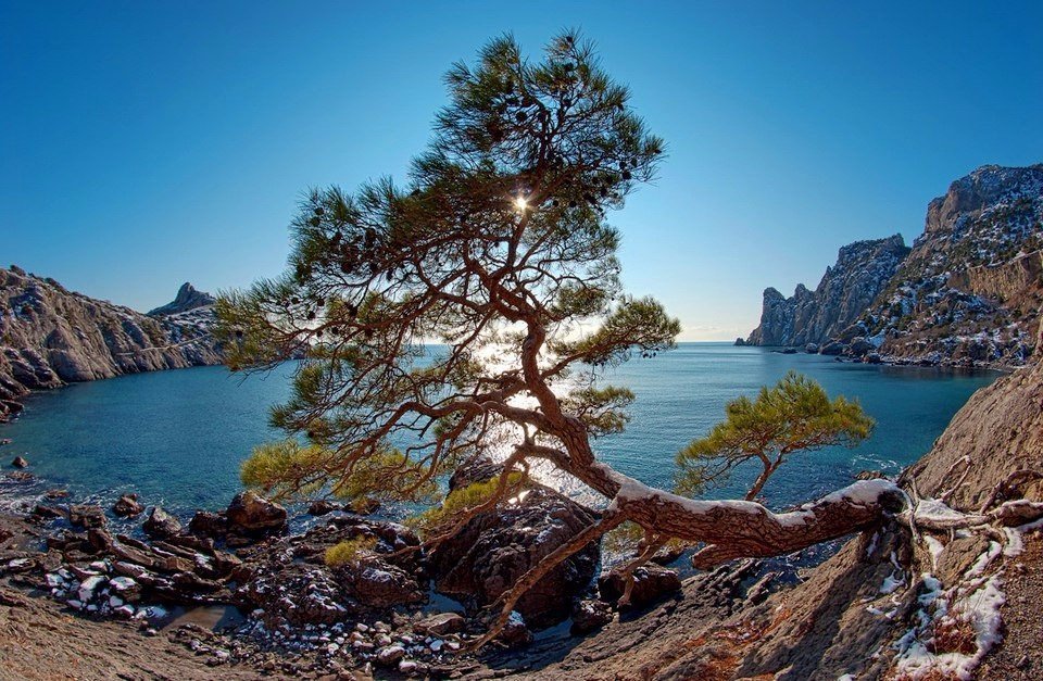 новый свет крым царский пляж фото