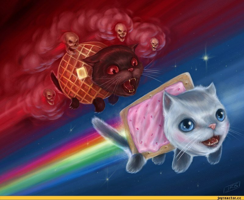 nyan cat фото