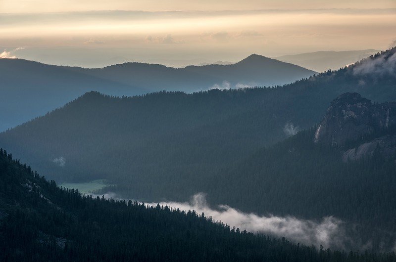 обои лес горы туман фото