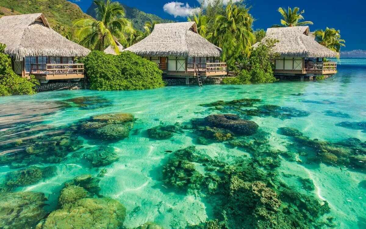 обои на рабочий стол море фото