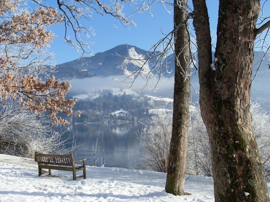 обои на рабочий стол зима природа фото