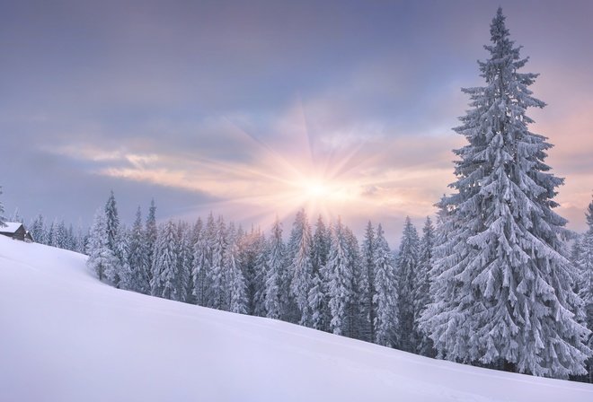 обои зима солнце фото