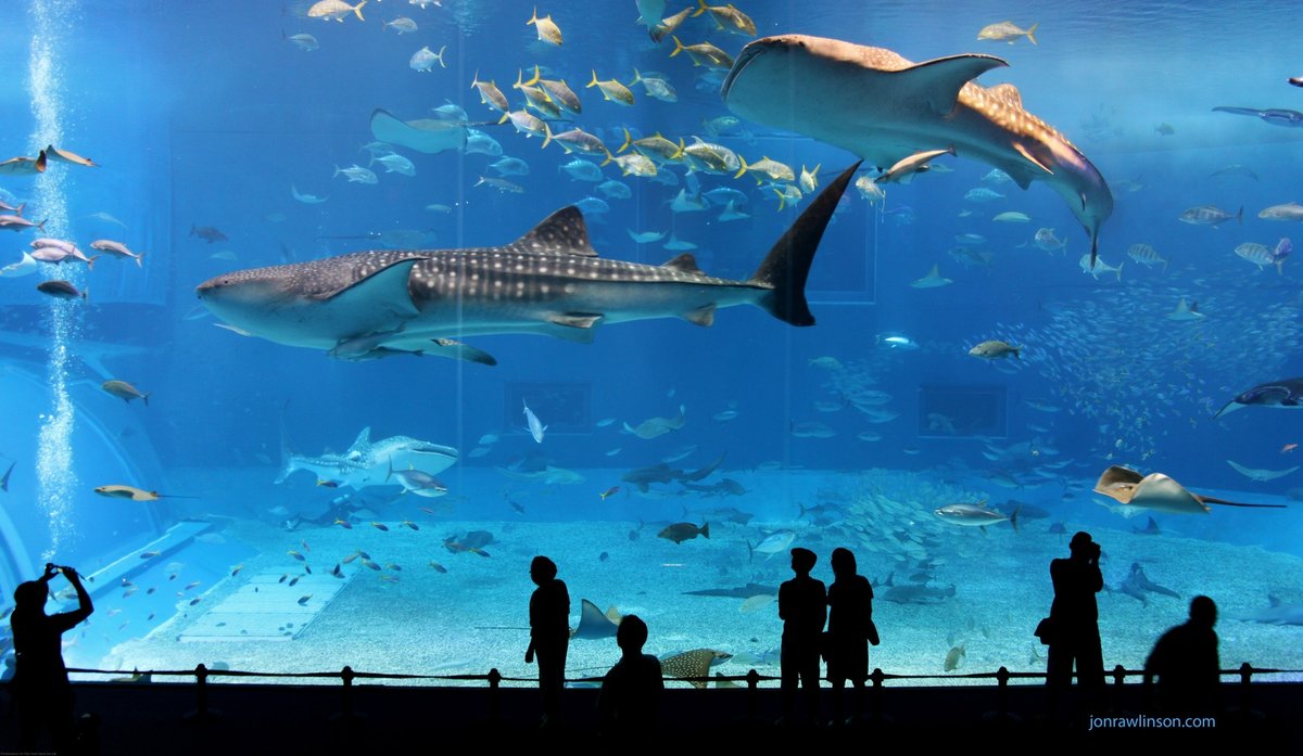 океанариум «underwater world pattaya» фото