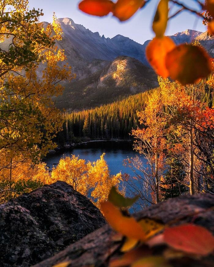 осень горы лес фото