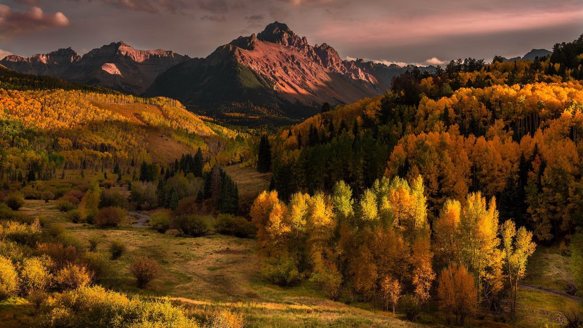 осень горы лес фото