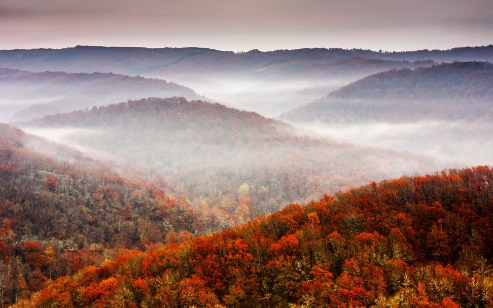 осень горы туман фото