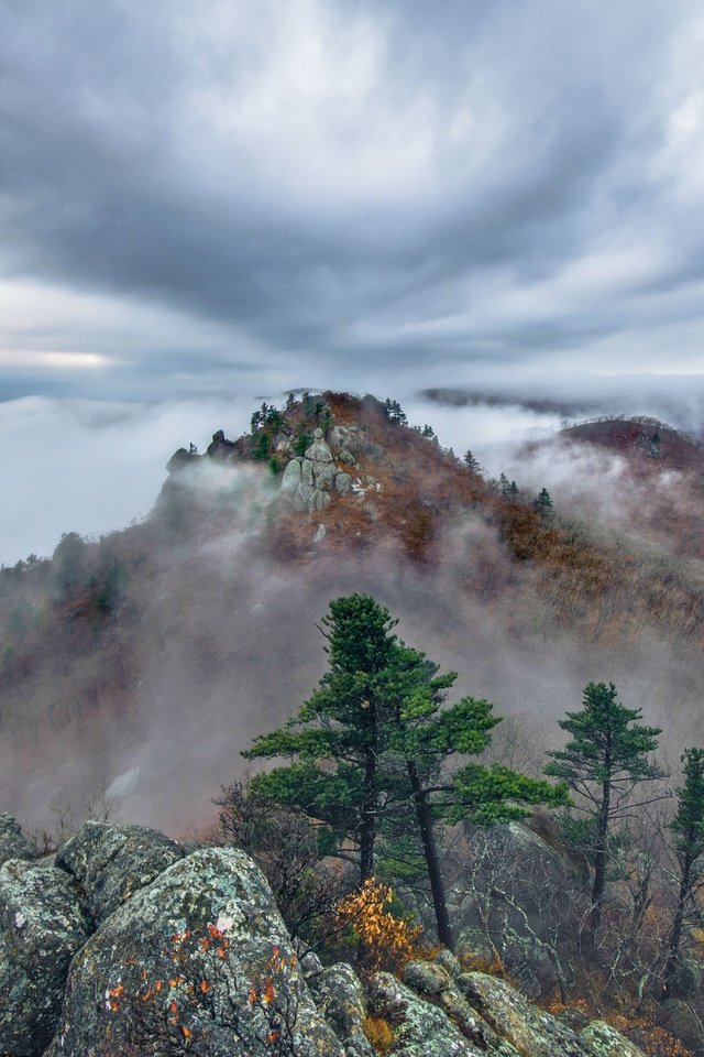 осень горы туман фото