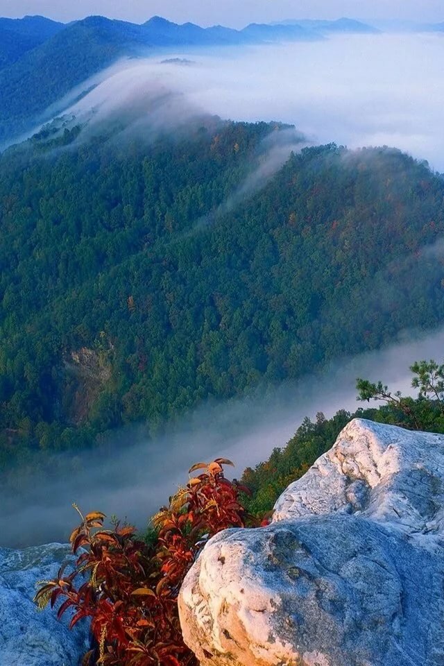 осень горы туман фото