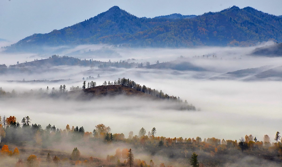 осень горы туман фото