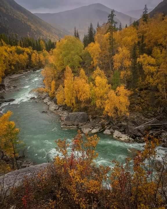 осень на алтае фото