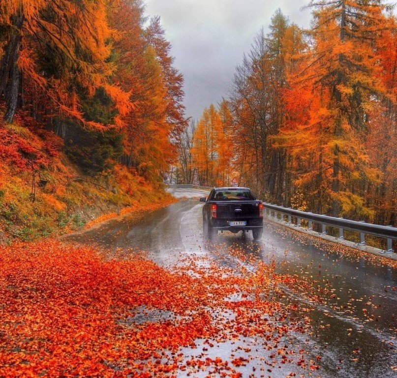 осень на рабочий стол дорога фото