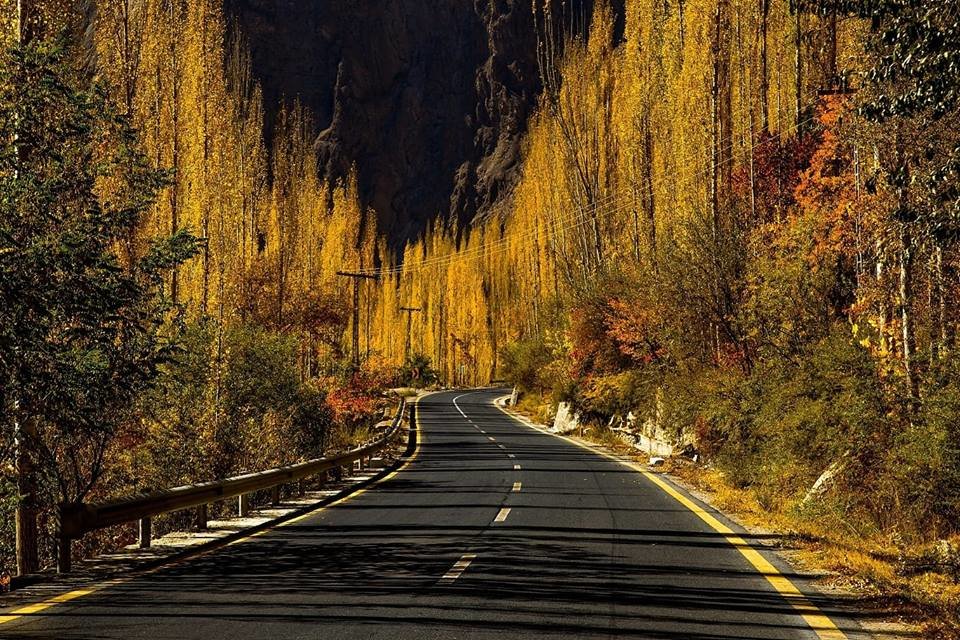 осень на рабочий стол дорога фото