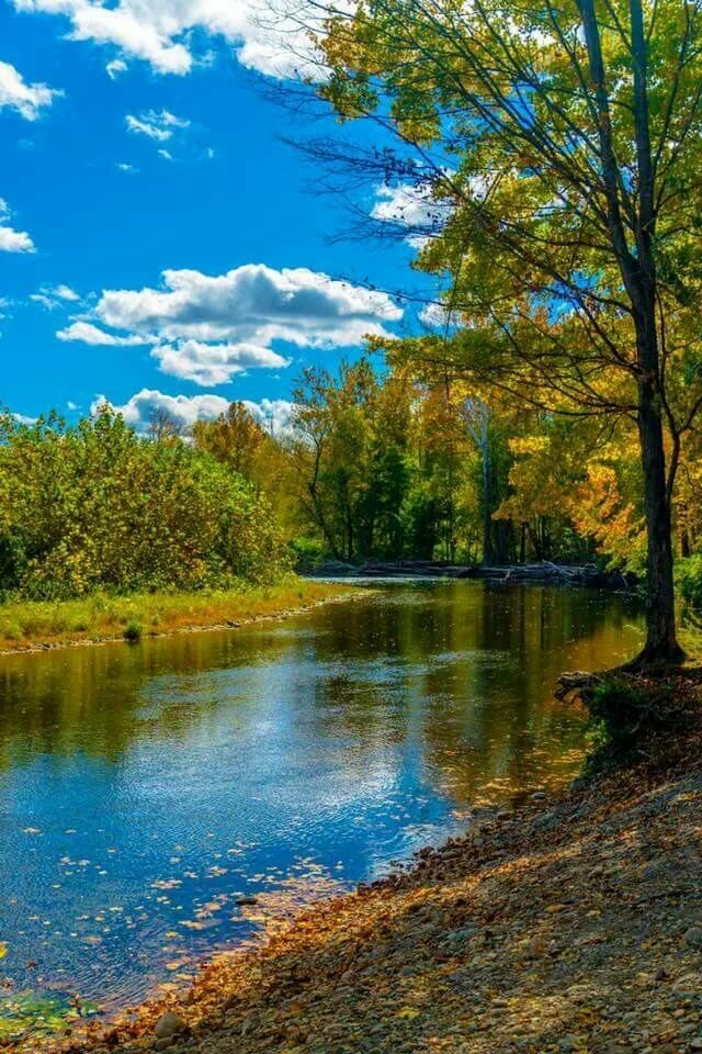 осень река картинки фото