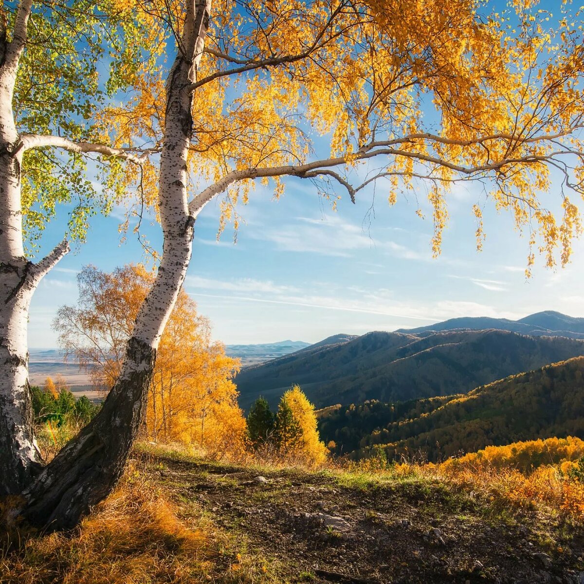 осень в горах фото