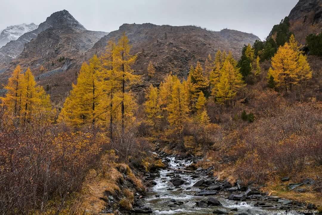 осень в горном алтае фото