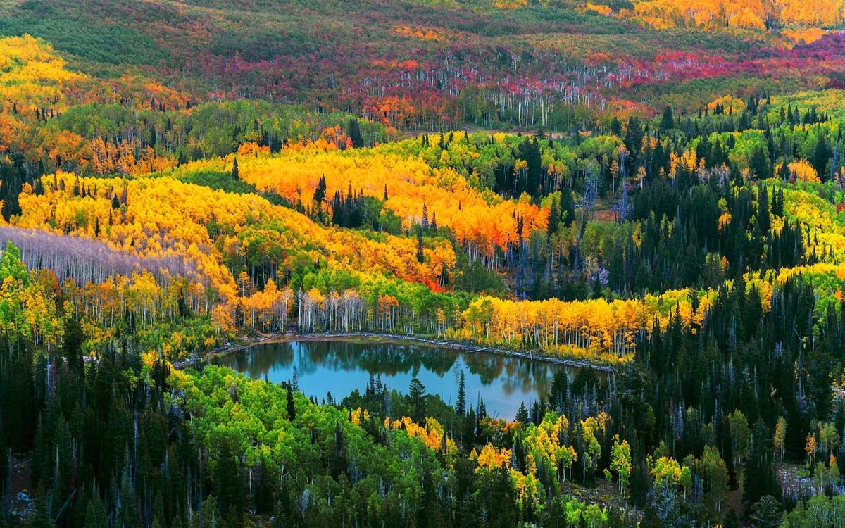 осень в канаде фото