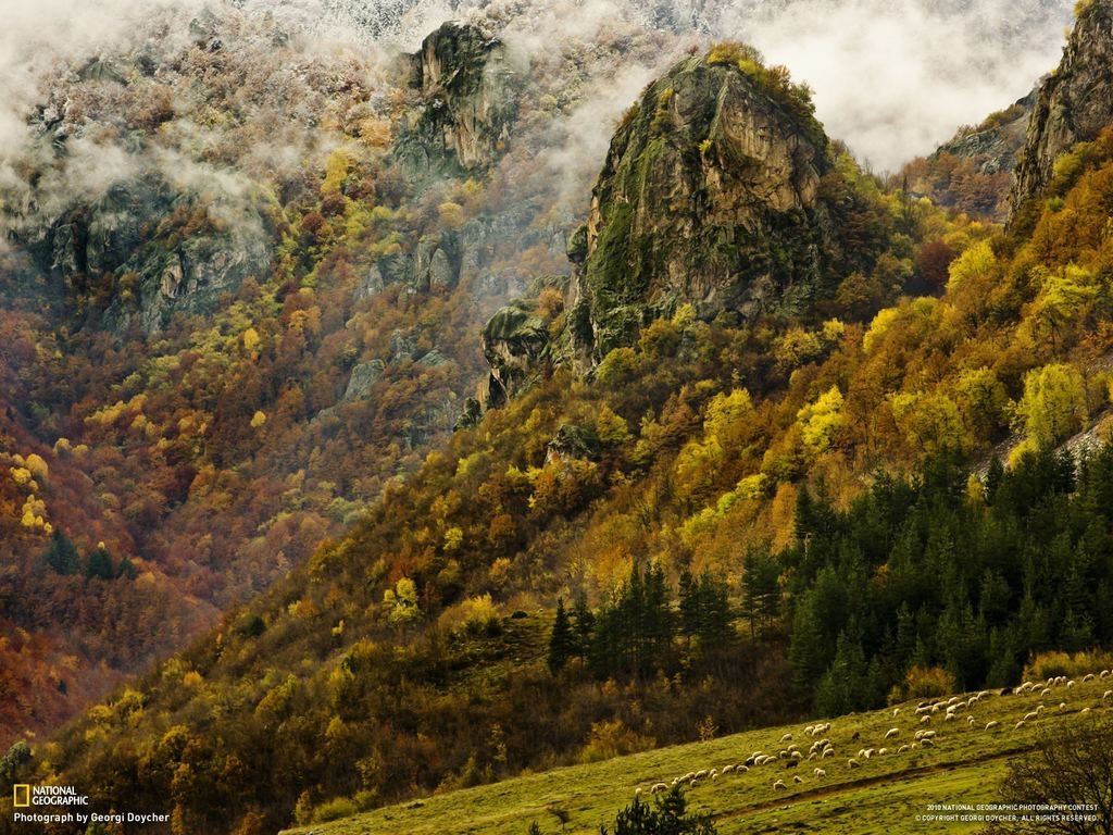 осень в кавказских горах фото