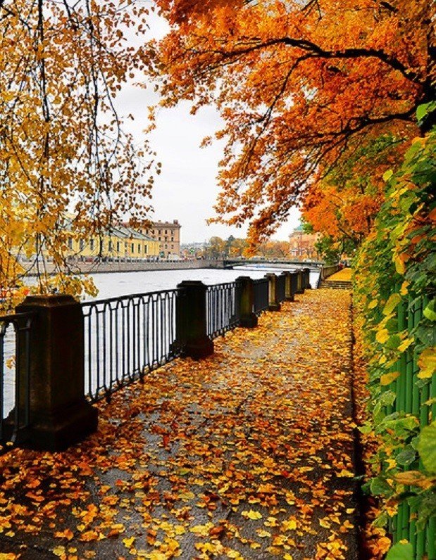 осень в питере фото