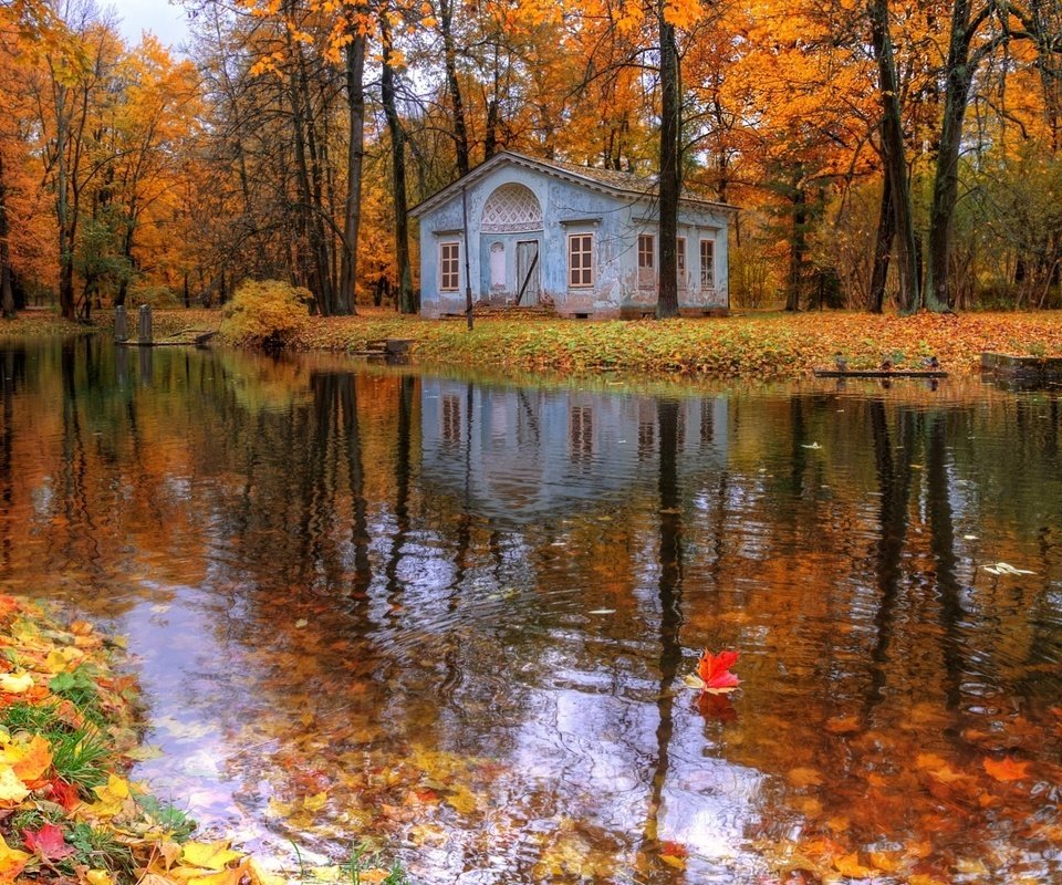 осень в царском селе фото