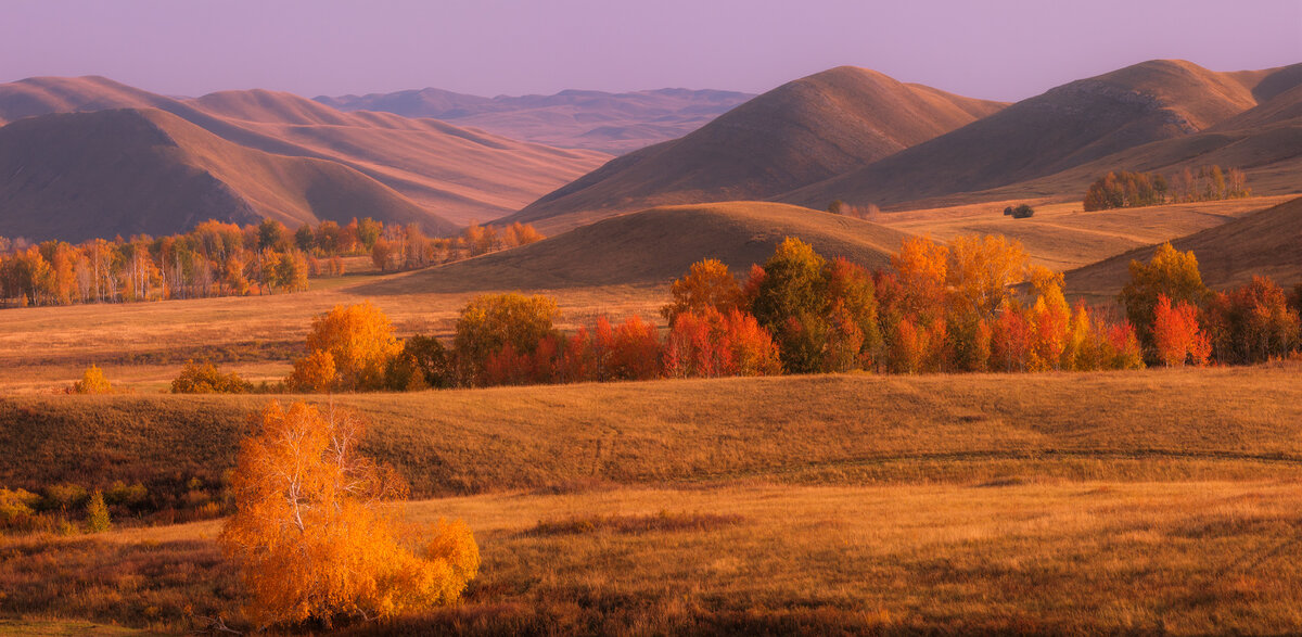 осень в забайкалье фото
