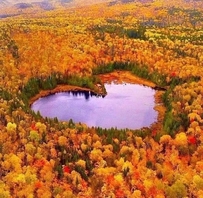осеннее озеро в форме сердца фото