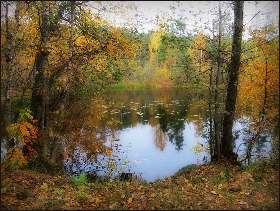 осенние пейзажи фото
