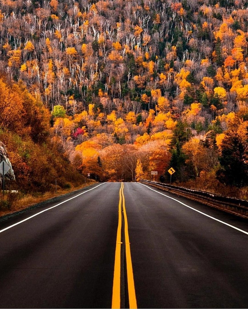 осенний пейзаж дорога фото