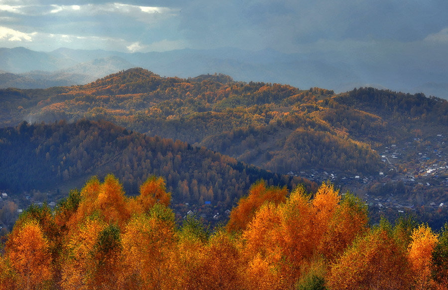 осенняя природа фото
