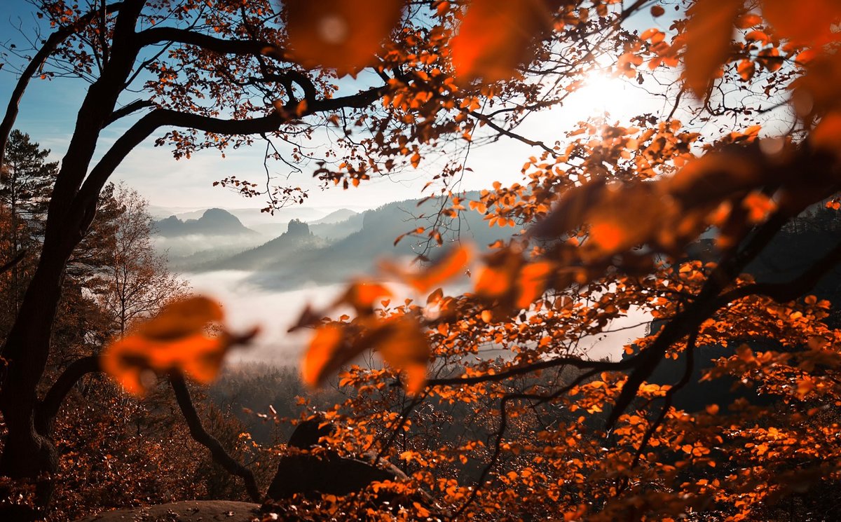 осенняя природа фото