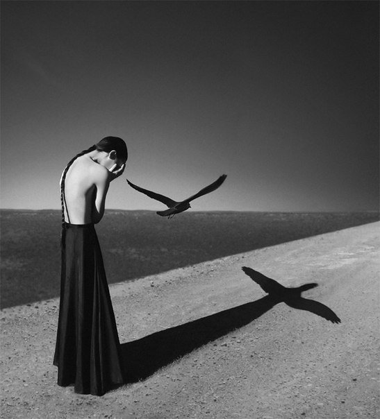 oszvald фото