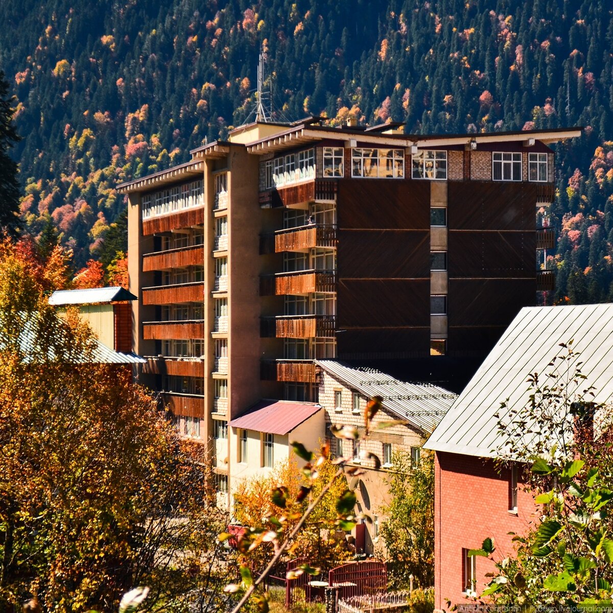 отель вершина домбай фото