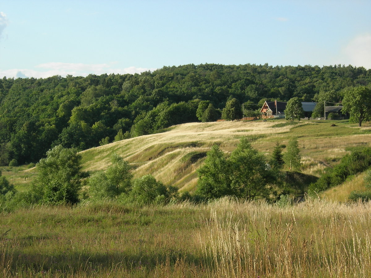 овраг картинки фото