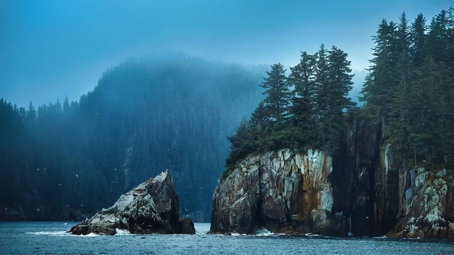 озера скалы и лес туман фото