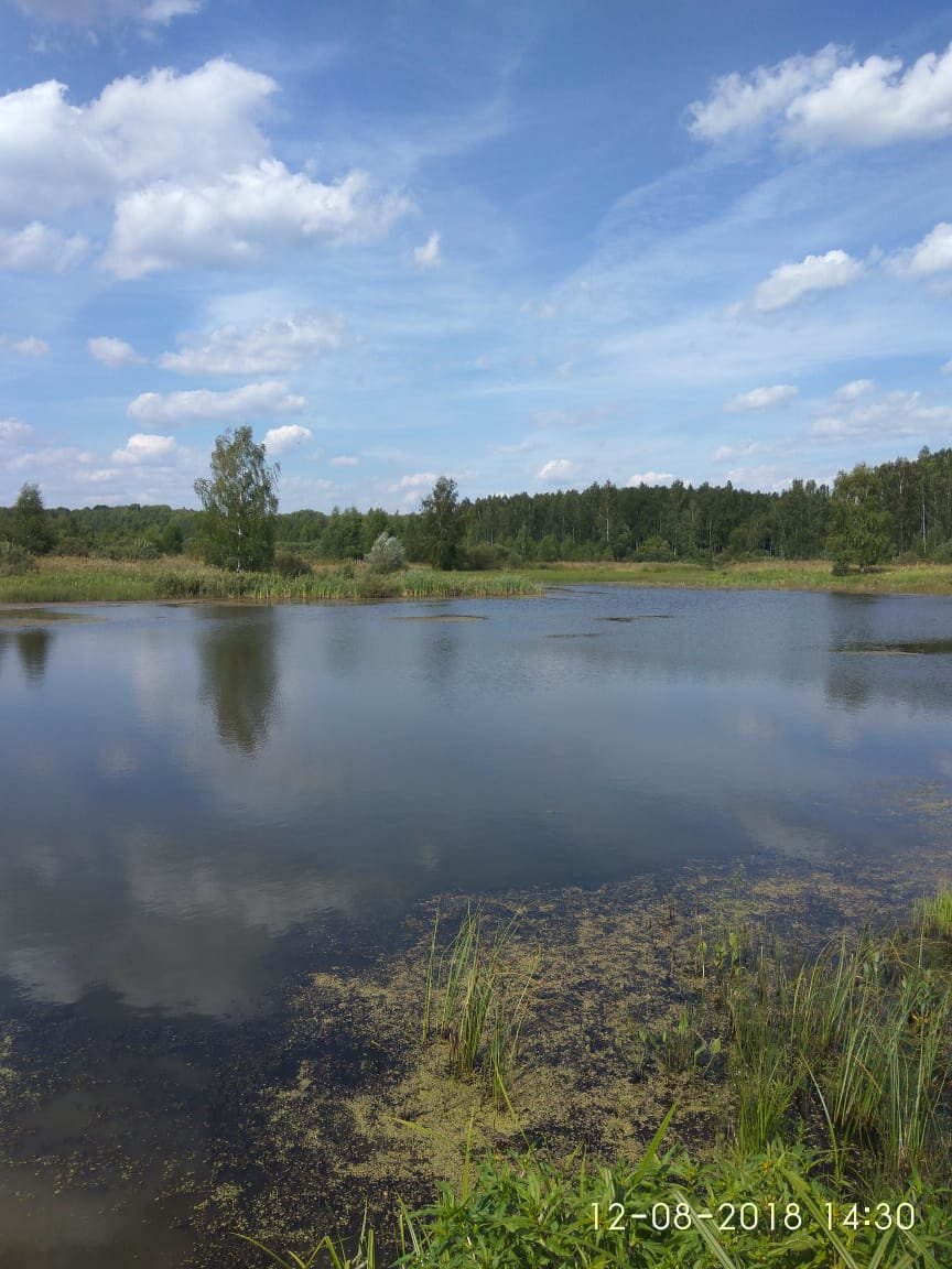 озеро ачапное нижегородской области фото