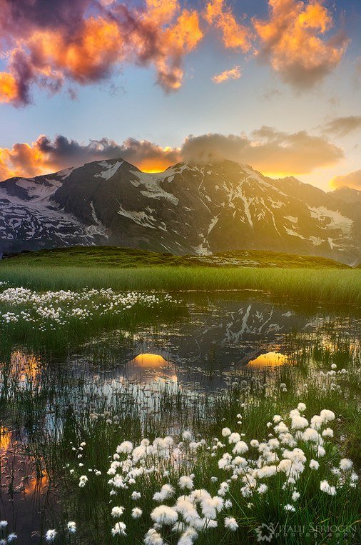 озеро, горы, цветы, пейзаж, красота фото
