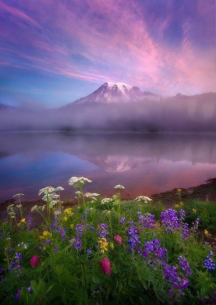озеро, горы, цветы, пейзаж, красота фото