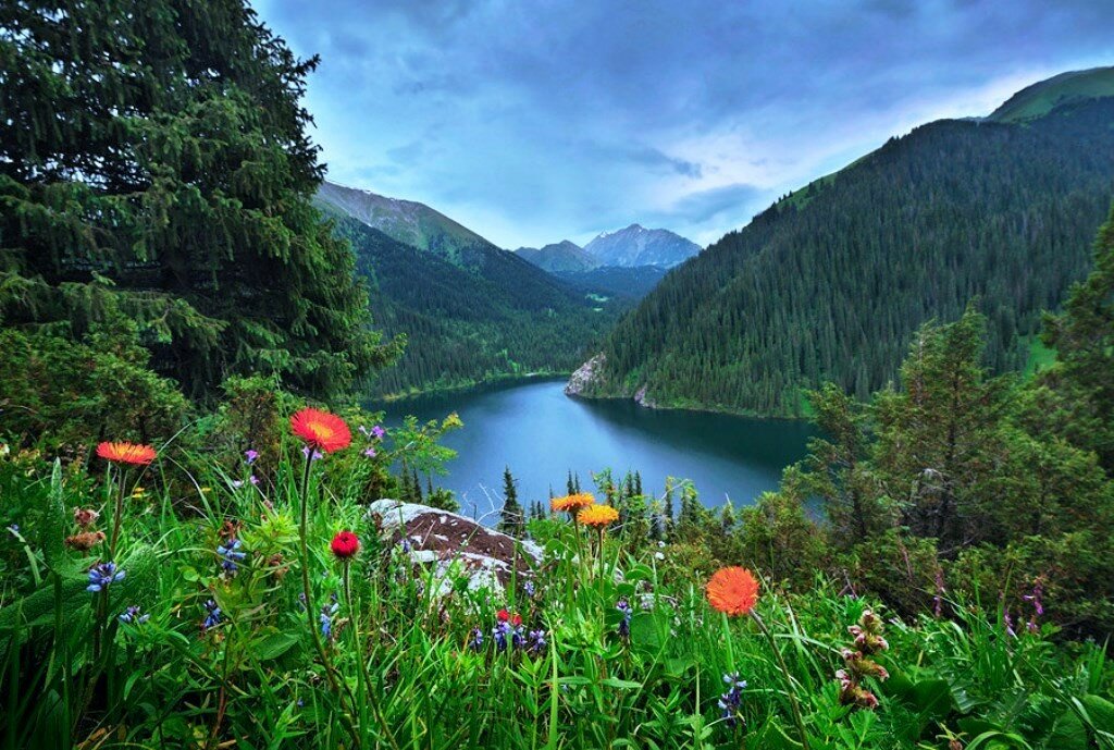 озеро, горы, цветы, пейзаж, красота фото