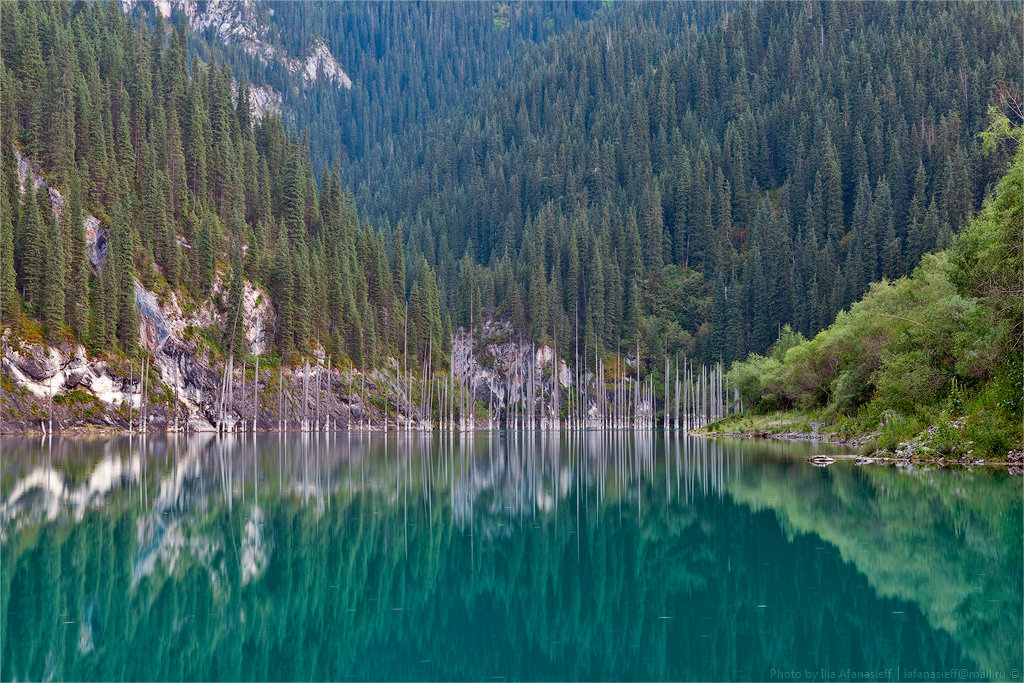 озеро каинды казахстан фото