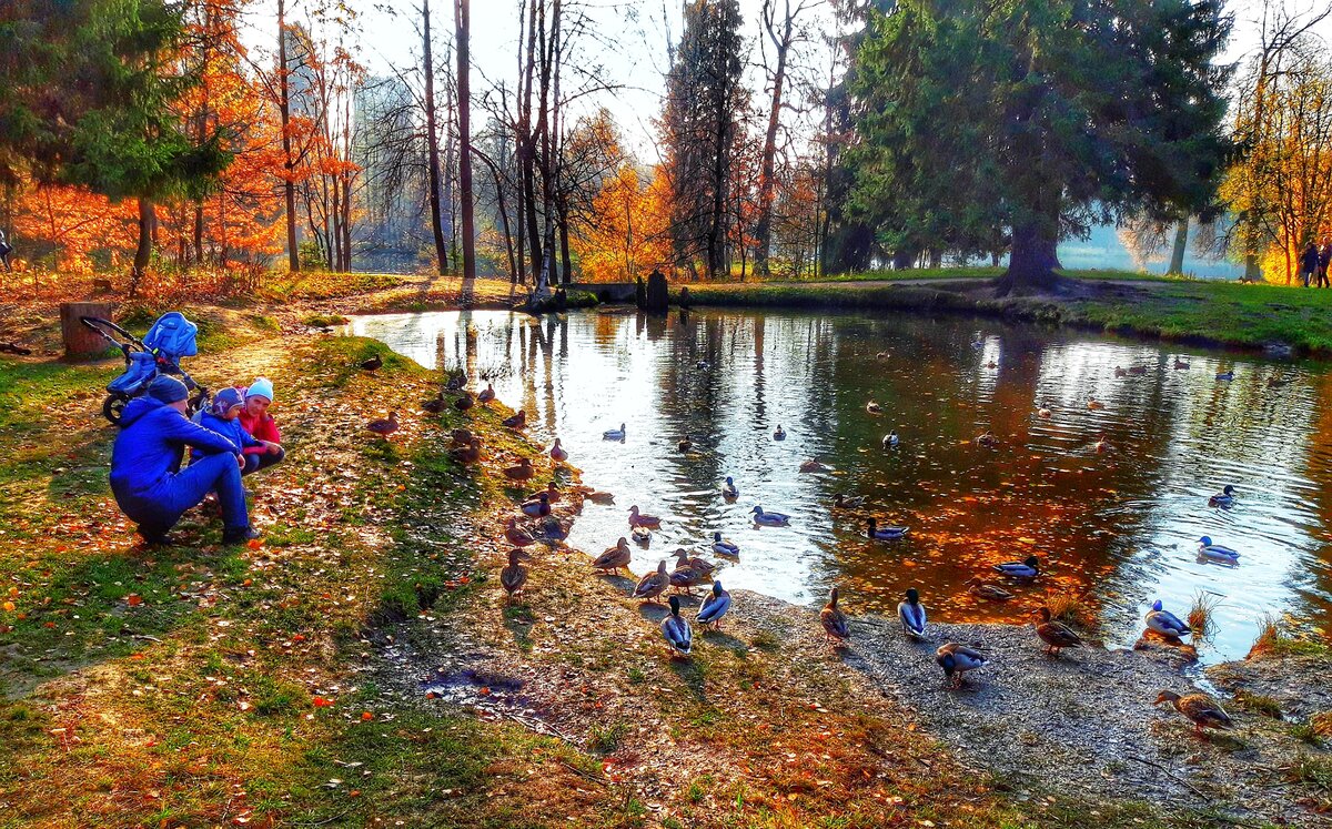 Озеро Осени фото